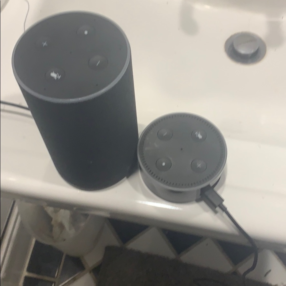 Amazon Alexa echo and Alexa dot